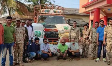 छत्तीसगढ़ के कोंडागांव में पकड़ाया दो करोड़ का चंदन लकड़ी