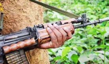 मदनवाड़ा नक्सली हमले कांड की रिपोर्ट विधानसभा में पेश