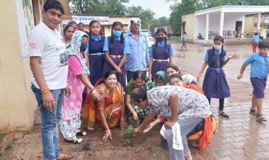 कृष्णानगर शासकीय स्कूल में पौधरोपण