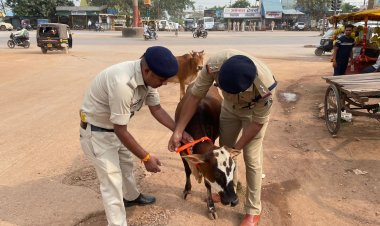 अंजोरा से कुम्हारी तक सड़क किनारे 'नो पार्किंग' में खड़े वाहनों पर कार्रवाई