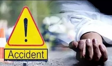 भिलाई: ट्रक की ठोकर से घायल बुजुर्ग की इलाज के दौरान हुई मौत