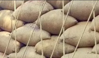 अवैध धान परिवहन, 117 बोरी जब्त