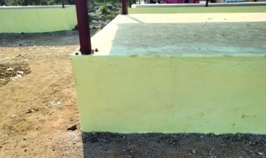 प्राकृतिक पेंट से अपना घर सजाना चाहते हैं तो संपर्क करें लिटिया की दीदियों से