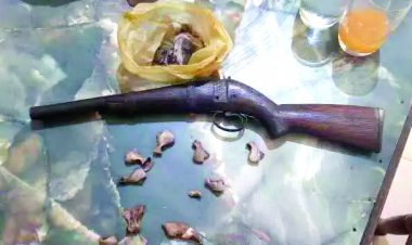 बाघ के खाल सहित 5 शिकारी गिरफ्तार