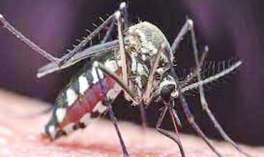 जापानी बुखार की चपेट में तीन बच्चे, स्वास्थ्य विभाग का अलर्ट जारी