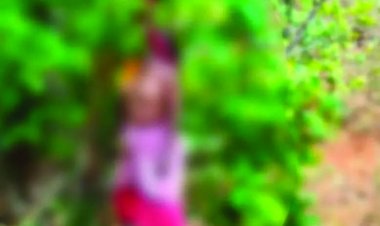 पहाड़ी कोरवा महिला की पेड़ से लटकी मिली लाश