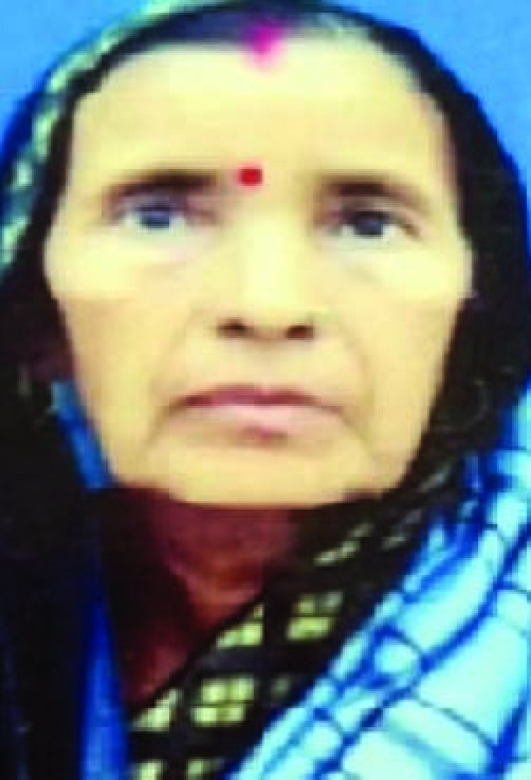 झुंड में आए खूंखार कुत्तों ने बुजुर्ग महिला को नोच-नोचकर मार डाला, बिखड़े पड़े थे मांस के टुकड़े