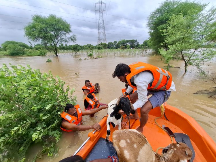 बाढ़ में फंसे थे तीन लोग और पशु, एसडीआरएफ दुर्ग ने किया रेस्क्यू