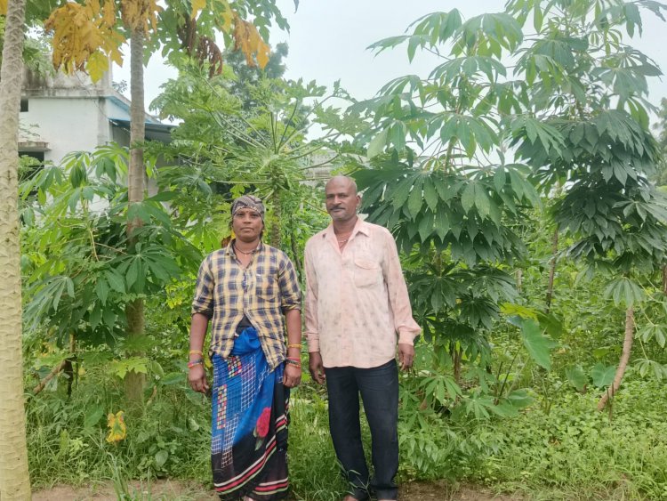 सब्जी उत्पादन से बदली किस्मत, लखपति बनीं आमटी गांव की केतकी दीदी