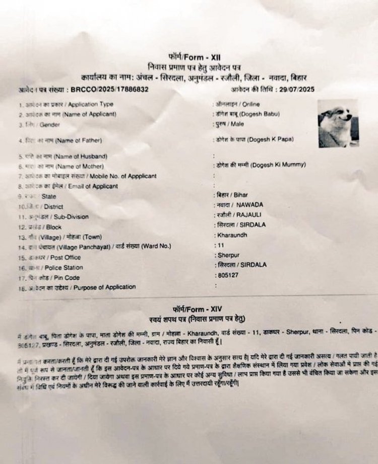 अजब-गजब मामला: कुत्ते के नाम पर निवास प्रमाण पत्र जारी, प्रशासन नींद से जगा तो कार्रवाई शुरू