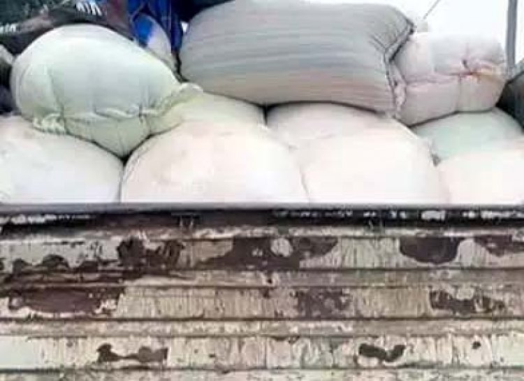 ओडिशा से छत्तीसगढ़ लाया जा रहा था धान, 400 बोरा समेत ट्रक जब्त