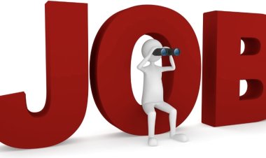 जिला बाल संरक्षण इकाई में रिक्त पदों (संविदा) की पूर्ति हेतु आवेदन आमंत्रित