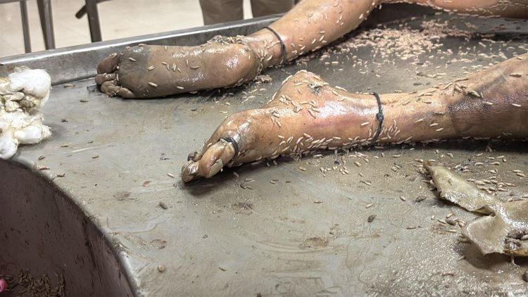 महादेव-त्रिशूल और नामों के गोदने से पहचान की कोशिश, शरीर पर लगे कीड़े, सुपेला अंडरब्रिज के पास मिली अज्ञात महिला की लाश