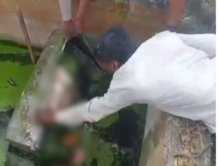 सेप्टिक टैंक में लोहे के संदूक से महिला का शव बरामद, क्षेत्र में फैली सनसनी