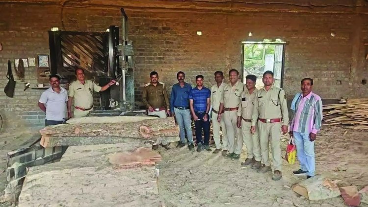 वन विभाग की बड़ी कार्रवाई, दो आरा मशीनों से 992 नग अर्जुन लकड़ी जब्त