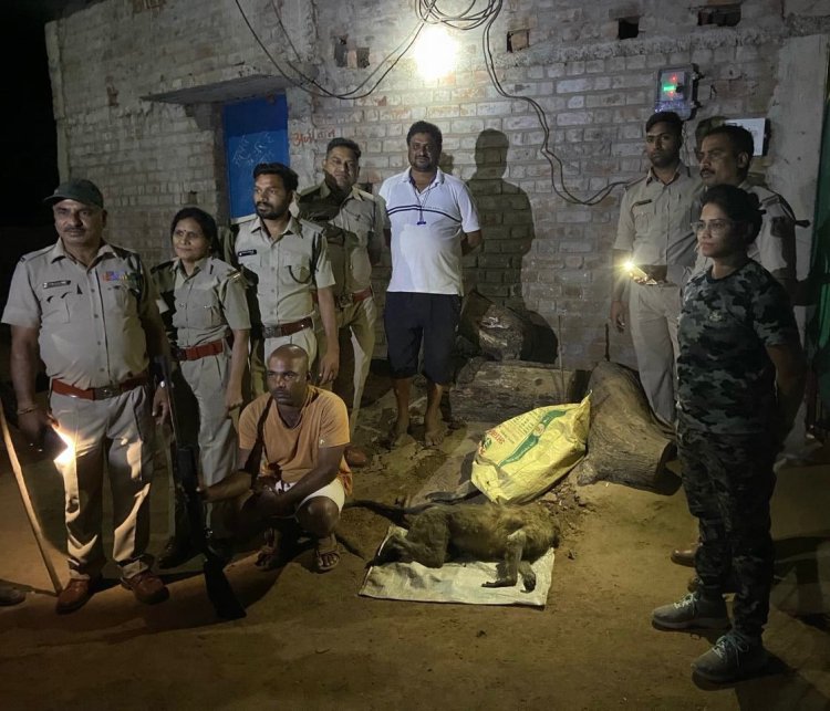 लंगूर का शिकार करने वाला आरोपी गिरफ्तार