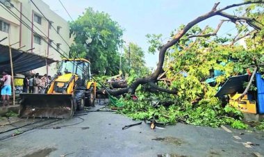 आंधी-तूफान का कहर, 96 लोगों की मौत, कई जिलों में तबाही