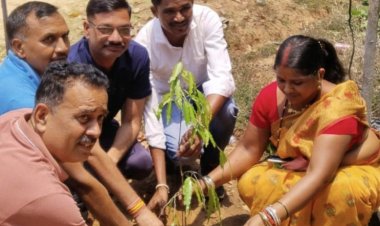 विश्व पर्यावरण दिवस पर कसौली कैंप में हुआ पौधारोपण, जनप्रतिनिधियों और ग्रामीणों ने बढ़-चढ़कर लिया हिस्सा