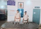 गणेशोत्सव की झांकी में पुलिस की सतर्कता, 507 लोहे के कड़े निकलवाकर रखवाए सुरक्षित