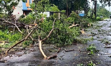 आंध्र प्रदेश में चक्रवात अर्नब का तांडव, तेज हवाओं और भारी बारिश से भारी नुकसान, 50 ट्रेनें और 21 उड़ानें रद्द