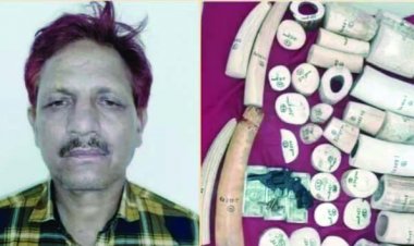 तीन करोड़ के हाथी दांत के साथ यूपी पुलिस का एसआई गिरफ्तार