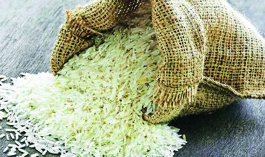 छत्तीसगढ़ में सुगंधित धान के बीजों की समस्या