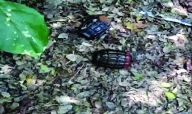 अयोध्या के कैंट इलाके में लावारिस हालत में मिले 18 हैंड ग्रेनेड