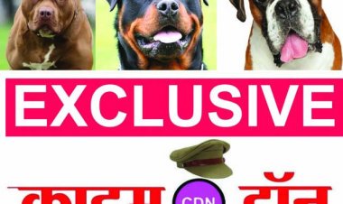 घरों में कुत्ता पालने अनुमति जरूरी, छत्तीसगढ़ प्रदेश में अब तक नहीं बना कोई गाइड लाइन
