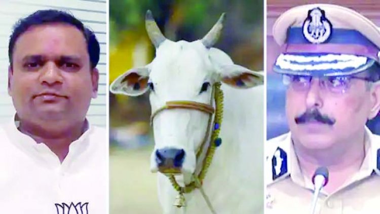   बकरीद के दिन महाराष्ट्र में नहीं कटे एक भी गाय... 