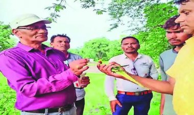 खेत में जहरीले पानी पीने से 52 मौतें, मचा हड़कंप