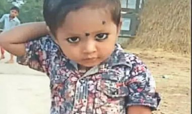 बिच्छू के डंक से आंगनवाड़ी केंद्र के मासूम की मौत