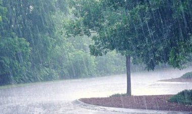 बारिश के चलते स्कूलों को बंद करने का आदेश जारी