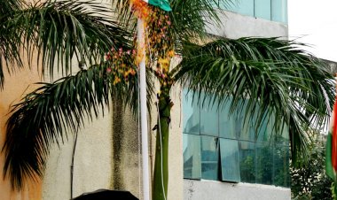 आईआईटी भिलाई में प्रो. रजत मूना ने किया ध्वजारोहण