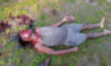 पुलिस मुखबिरी के शक में नक्सलियों ने की ग्रामीण की हत्या