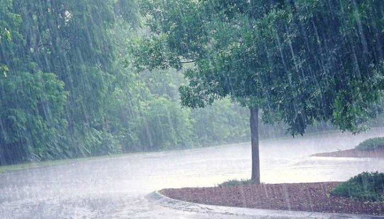 बारिश के चलते स्कूलों को बंद करने का आदेश जारी