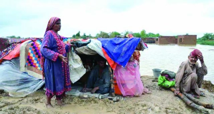 बारिश ने पाकिस्तान में लाई तबाही, बाढ़ से 937 लोगों की मौत