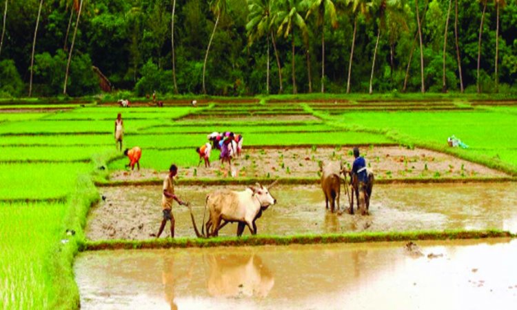 ई-केवायसी से बड़ा खुलासा, प्रदेश के 8.83 लाख किसान ने योजनाओं का लाभ उठाने बने गरीब