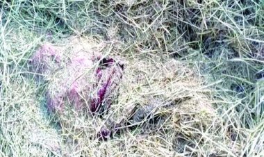 2 साल तक शारीरिक संबंध बनाने के बाद युवत ने कर दी थी नाबालिग बालिका की हत्या, 2 दिसंबर को पैरावट के ढेर में मिली थी लाश