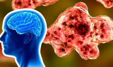 द. कोरिया में दिमाग खा जाने वाले अमीबा संक्रमण की दस्तक, 10 दिनों में ही कर देता है मस्तिष्क को खोखला