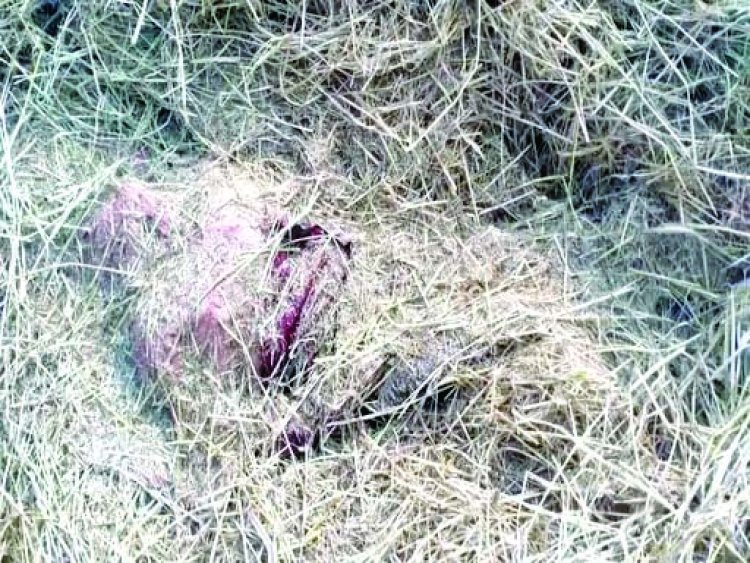 2 साल तक शारीरिक संबंध बनाने के बाद युवत ने कर दी थी नाबालिग बालिका की हत्या, 2 दिसंबर को पैरावट के ढेर में मिली थी लाश