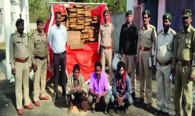 सागौन लकड़ी की तैश्करी करते 3 गिरफ्तार