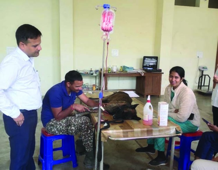 कामधेनु विश्वविद्यालय दुर्ग के पशु स्वास्थ्य सेवाओं में बढ़ाया गया ओपीडी का टाइम