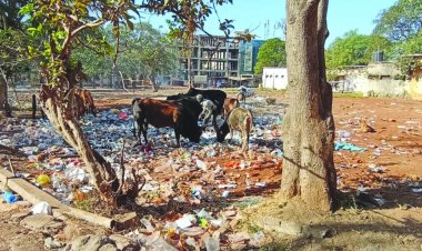 सीएमएचओ कार्यालय के पास गंदगी से जनस्वास्थ्य खतरे में