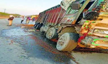 रायपुर में ट्रक की ठोकर से पिकअप सवार 11 की मौत,15 घायल