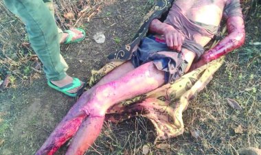 बाघ के हमले से एक की मौत, दो घायल