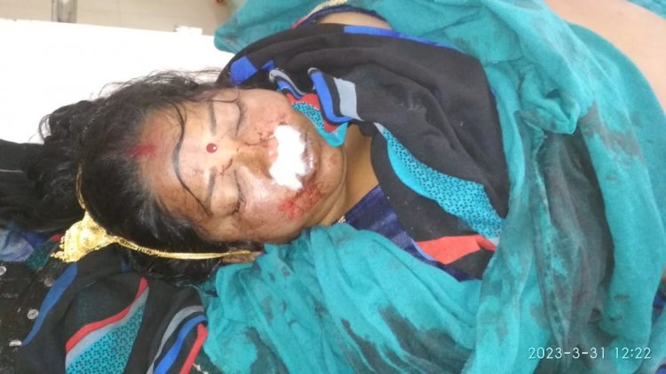 दुर्ग बेमेतरा रोड पर बड़ा हादसा, मवेशी से टकरा गई बाइक, महिला की मौत
