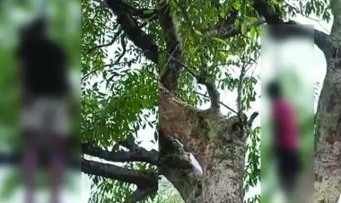 2 दोस्तों की एक ही पेड़ में लटकी मिली लाश