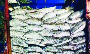 रायपुर के पास ट्रक में मिला 1.05 करोड़ का गांजा