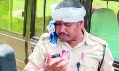 वन विभाग के अमले पर डंडा व गुलेल से हमला