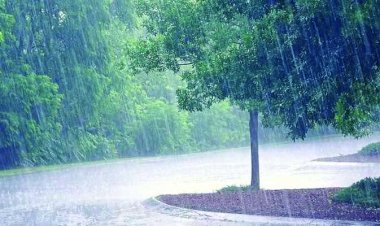 छत्तीसगढ़ के इन इलाकों में 27 जून को भारी बारिश की चेतावनी